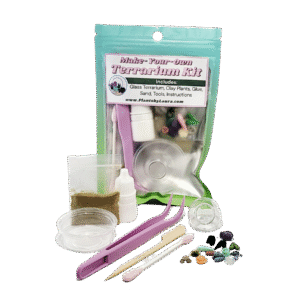 Mini Terrarium Kit with Micro Clay Plants