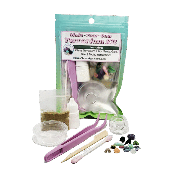 Mini Terrarium Kit with Micro Clay Plants