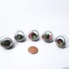 Super Cute Mini Terrarium Real Glass With Micro Clay Plants - Image 2