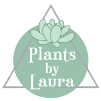 Plants by Laura