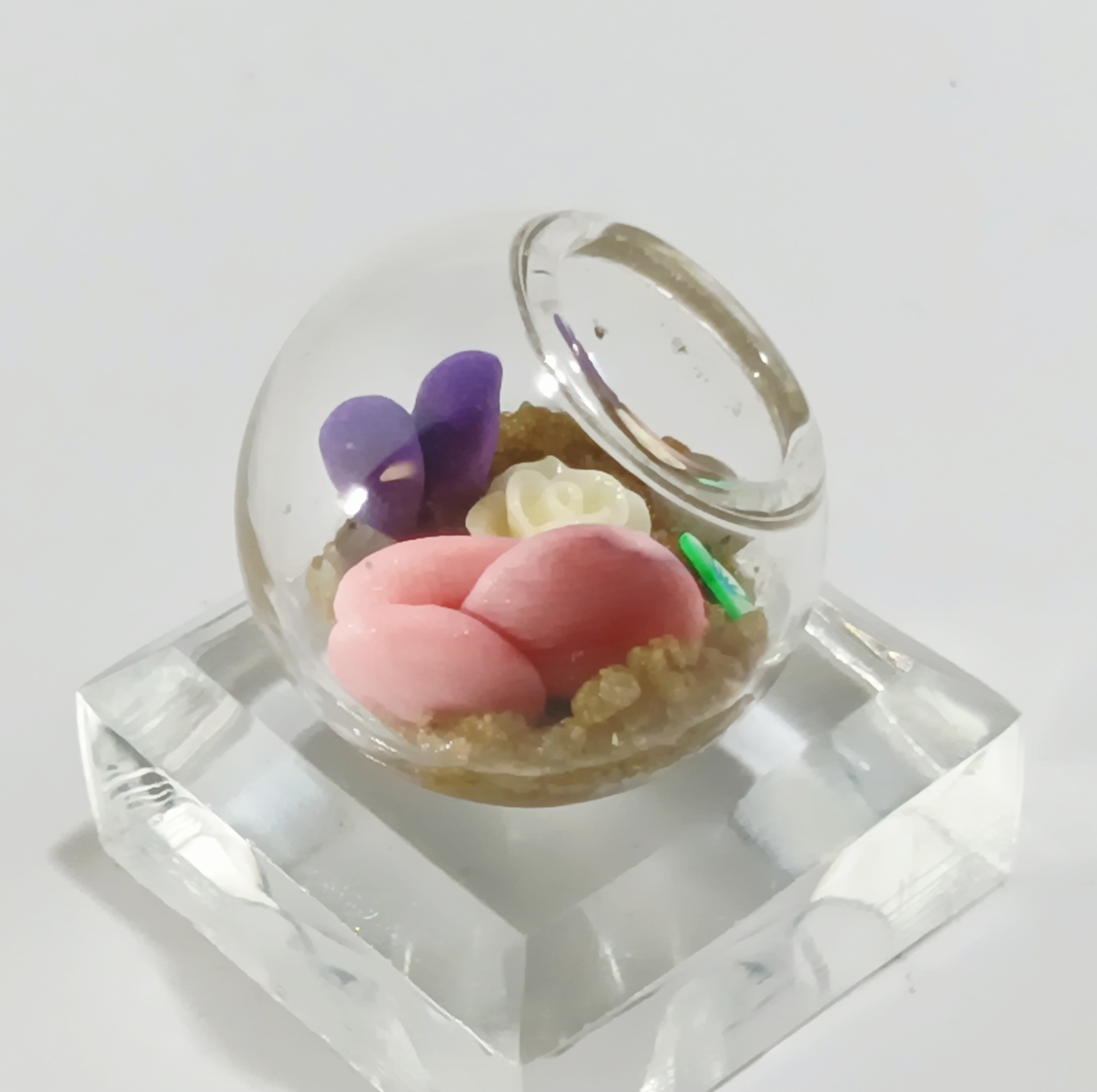 Micro Terrarium - Light - Image 3