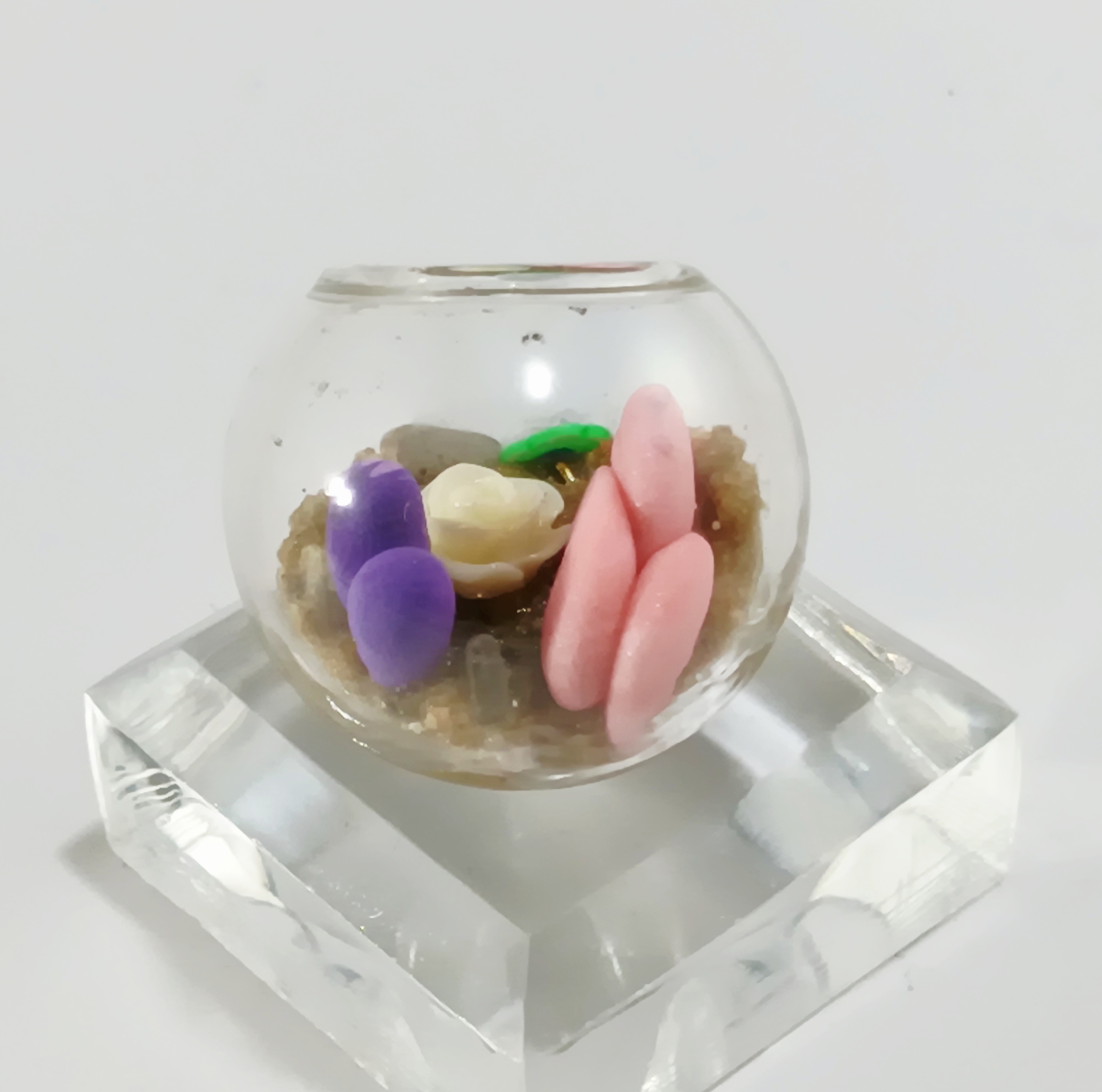 Micro Terrarium - Light - Image 4