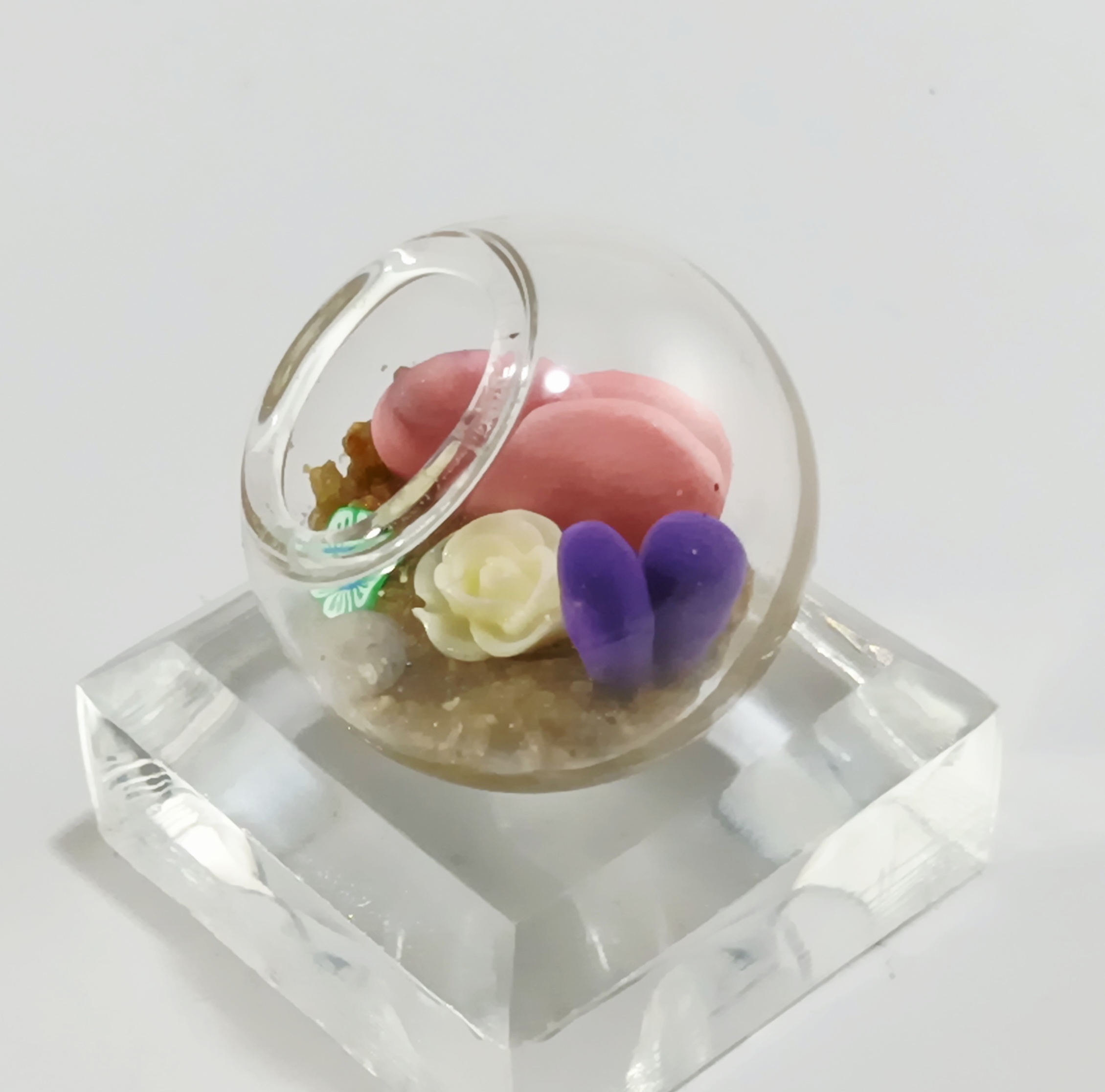 Micro Terrarium - Light - Image 5