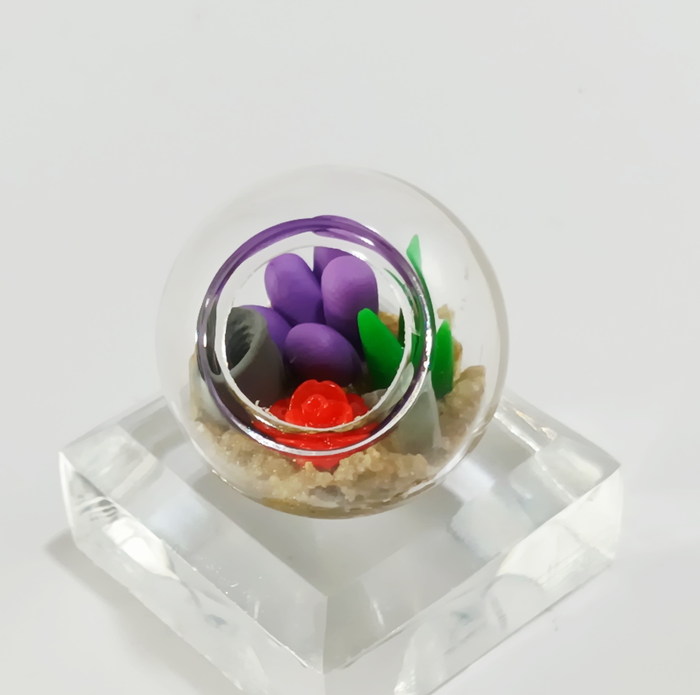 Micro Terrarium - Bold - Image 2