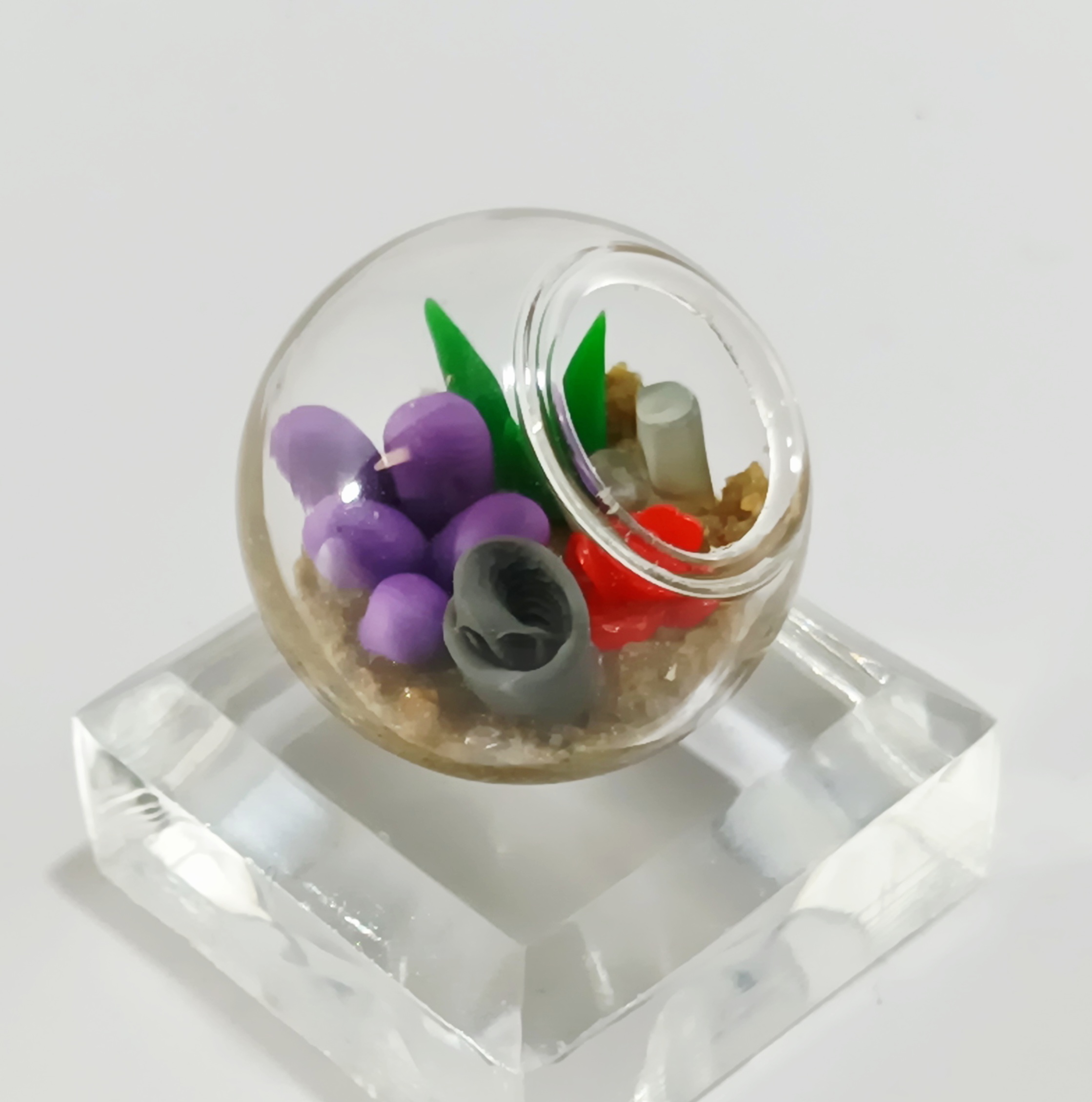 Micro Terrarium - Bold - Image 3