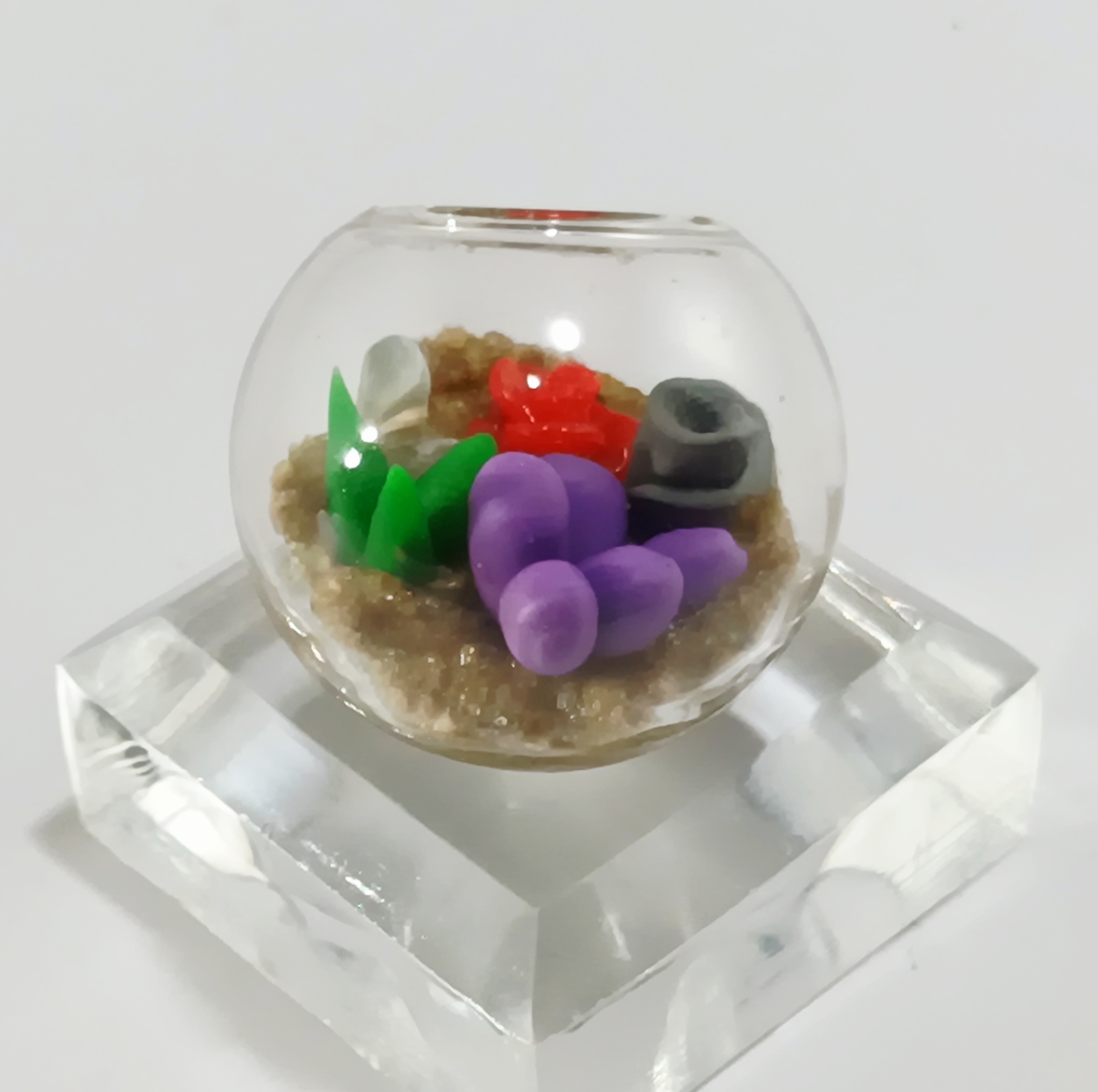 Micro Terrarium - Bold - Image 4