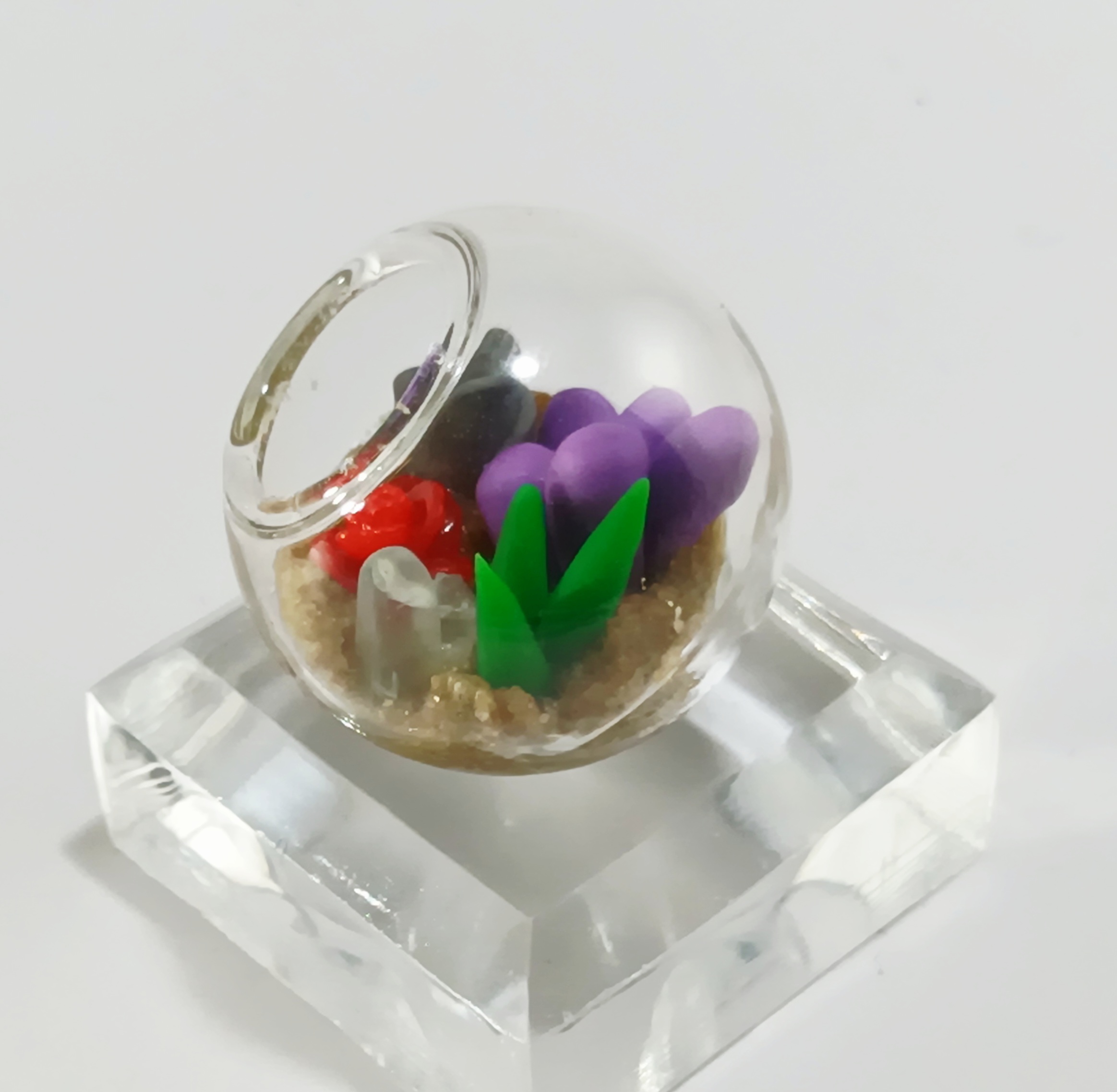 Micro Terrarium - Bold - Image 5