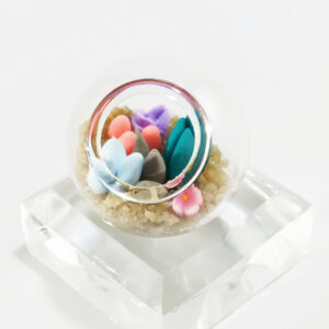 Micro Terrarium - Teal n Pink