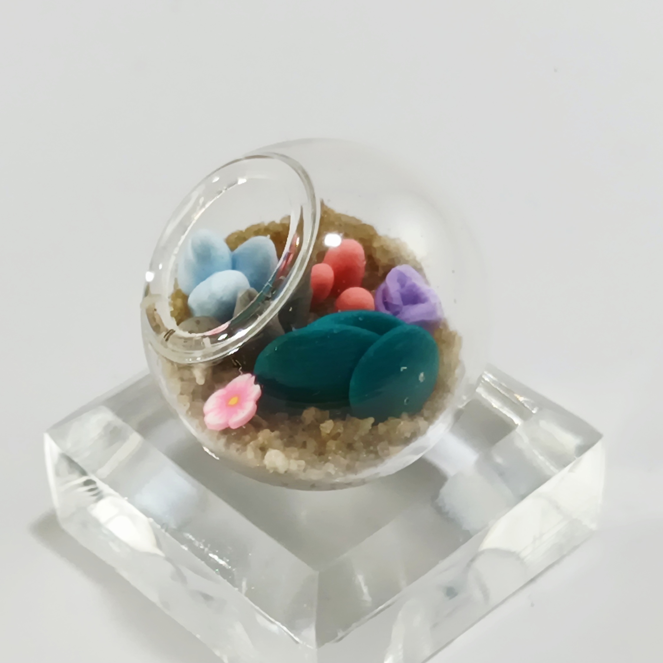 Micro Terrarium - Teal n Pink - Image 4