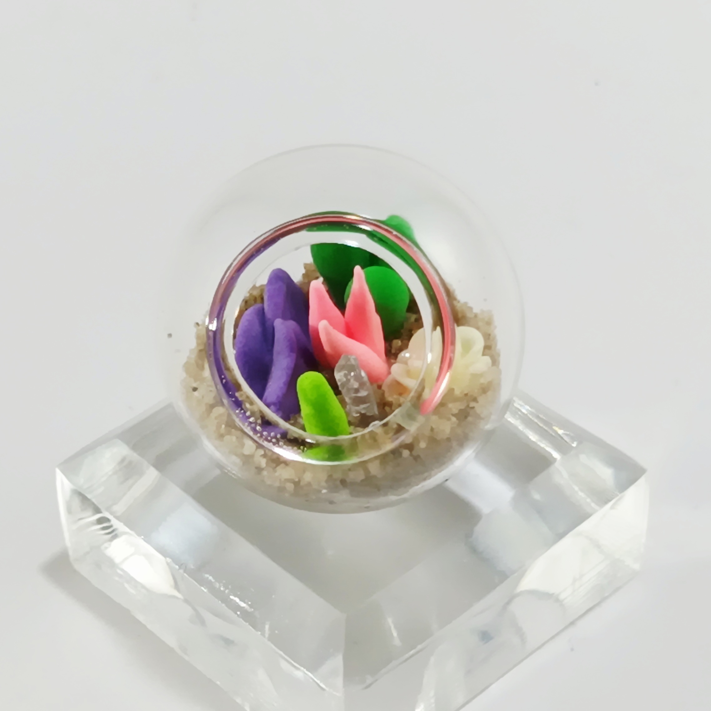 Micro Terrarium - Cream Rose - Image 5