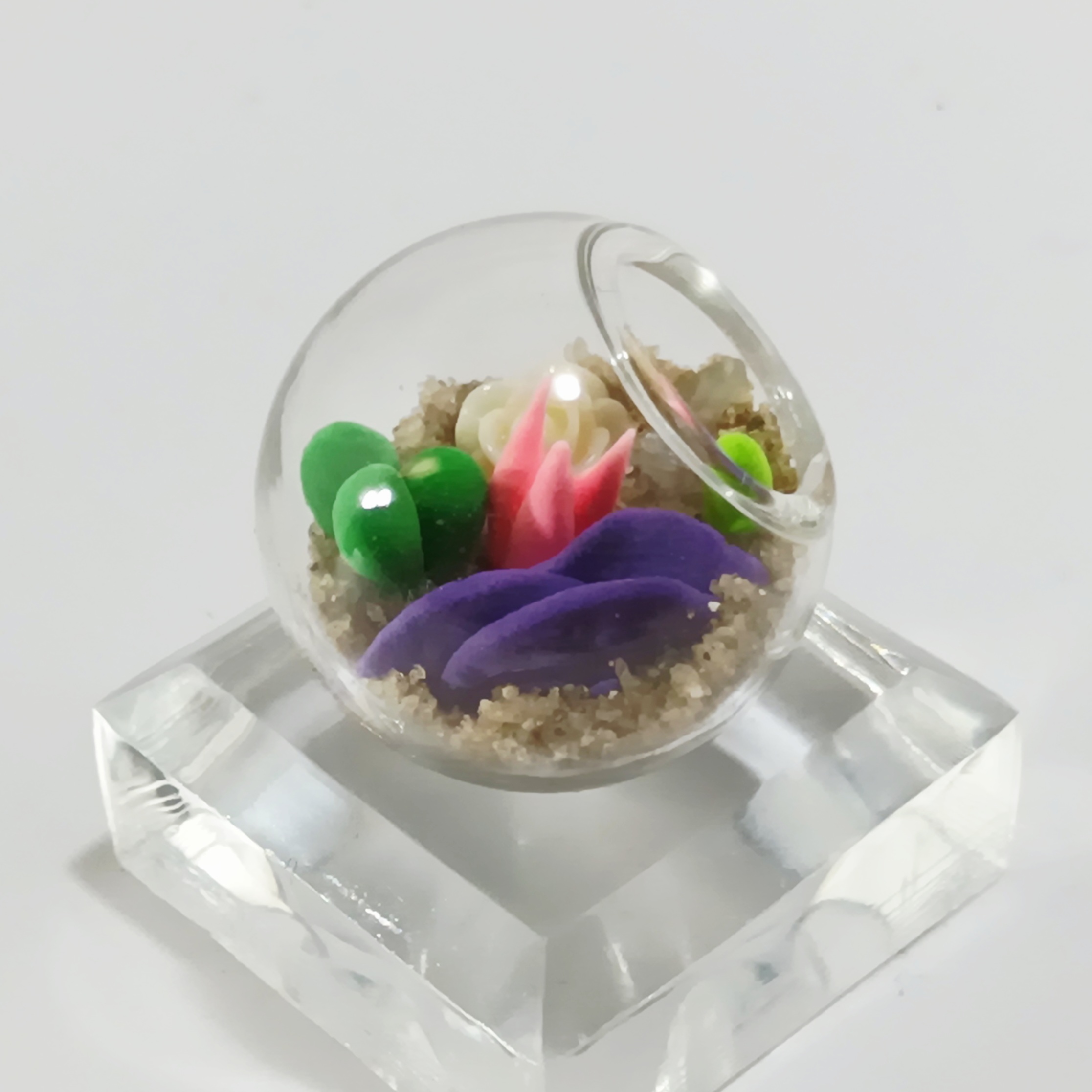 Micro Terrarium - Cream Rose - Image 4