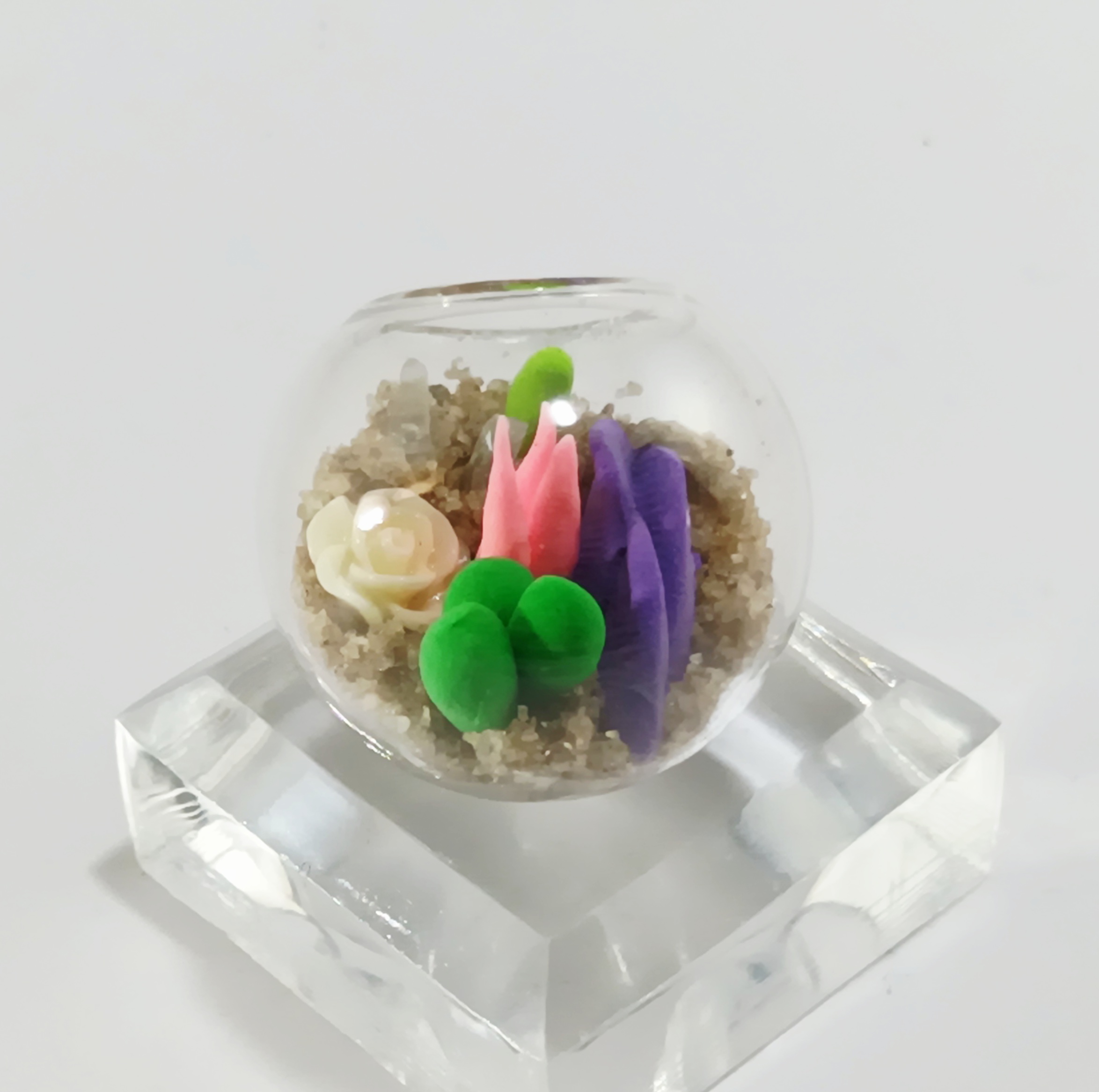 Micro Terrarium - Cream Rose - Image 3