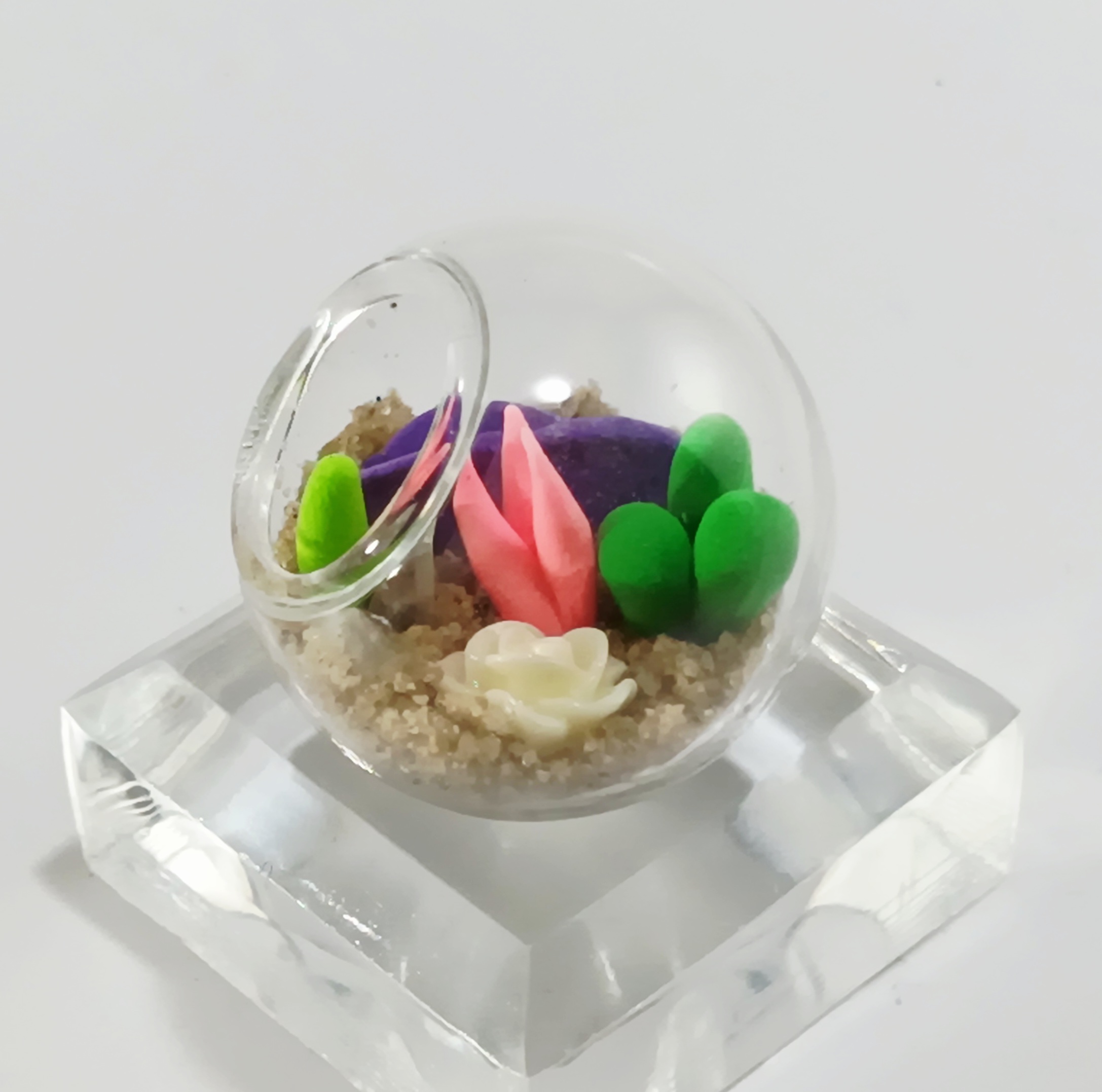 Micro Terrarium - Cream Rose - Image 2