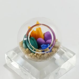 Micro Terrarium - Orange