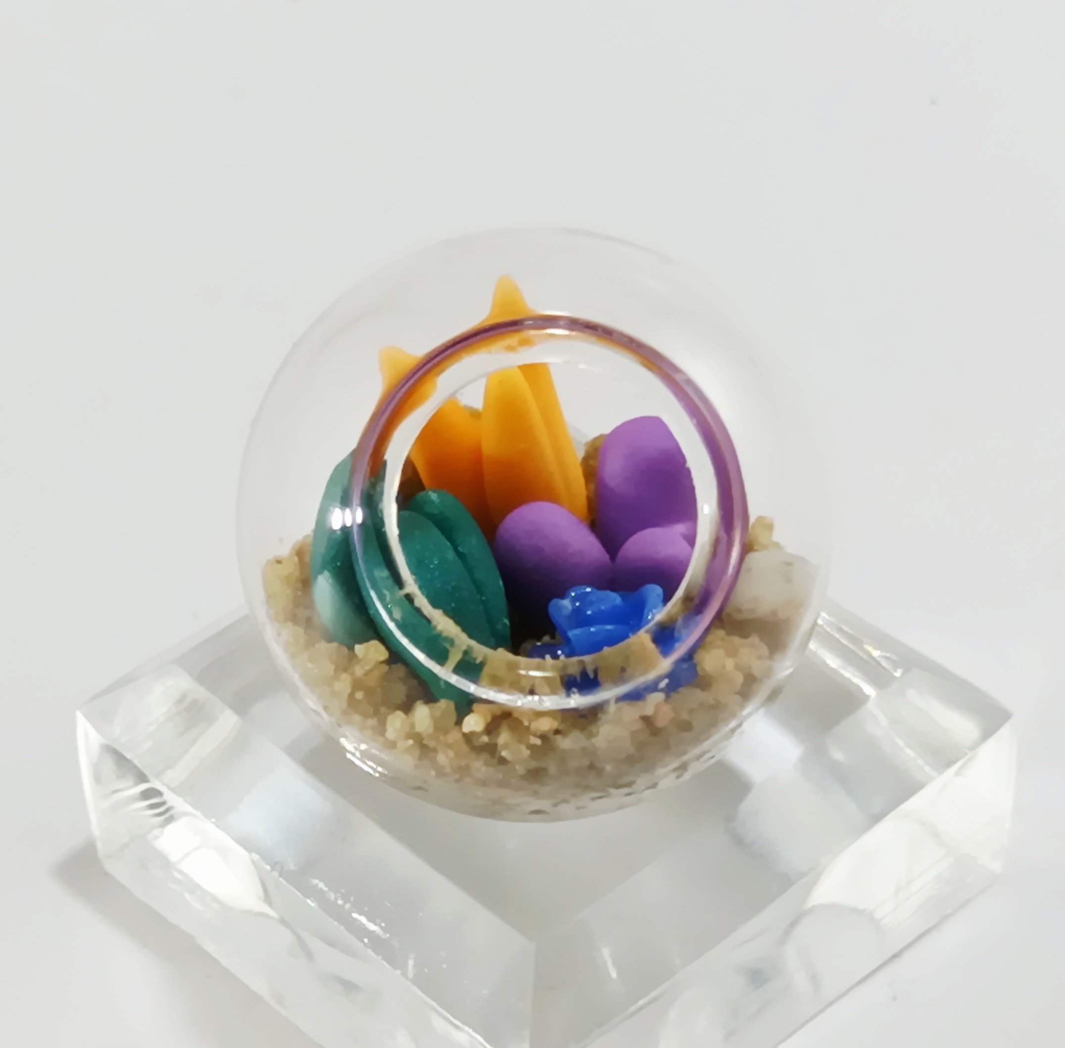 Micro Terrarium - Orange