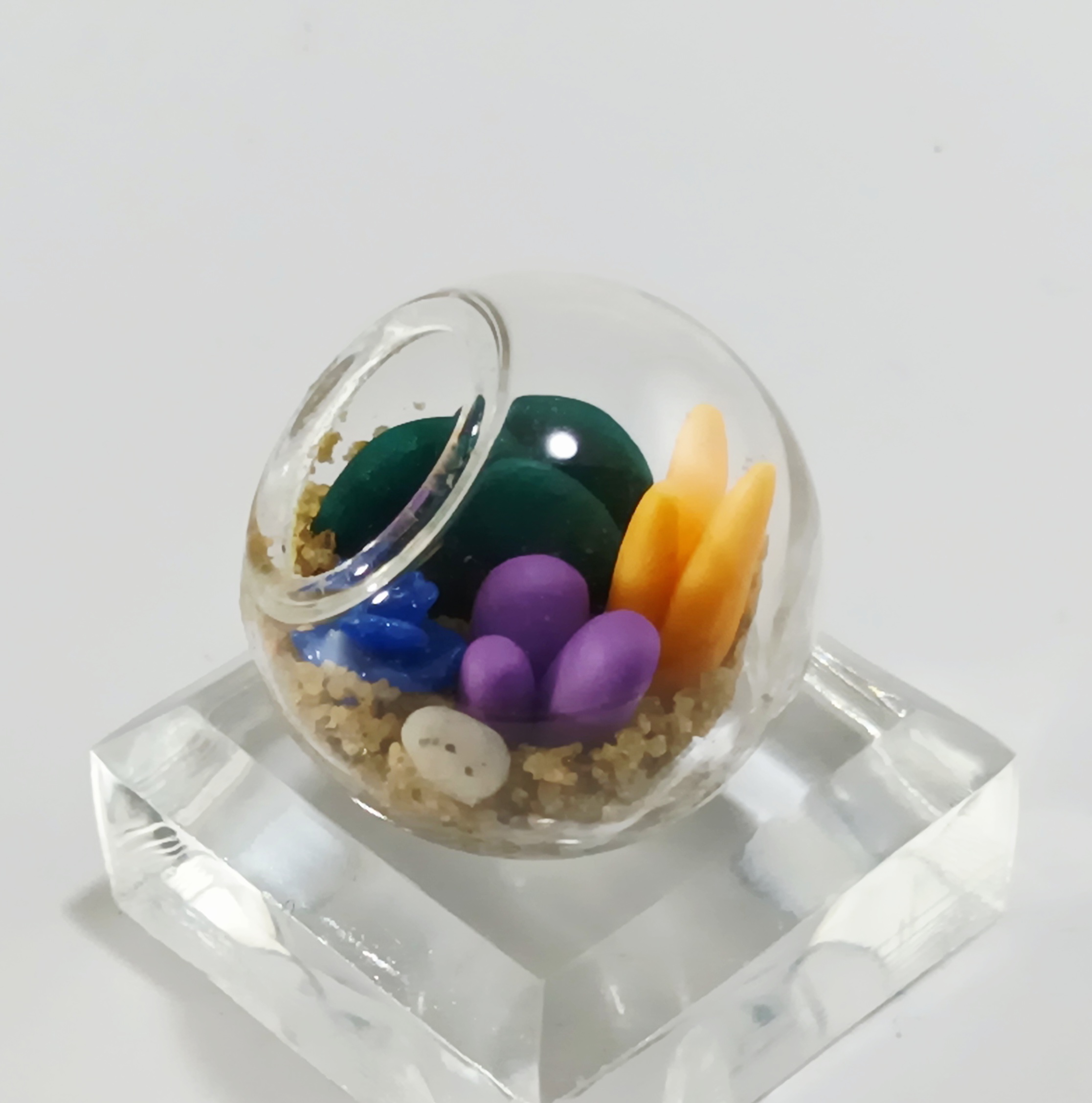 Micro Terrarium - Orange - Image 4