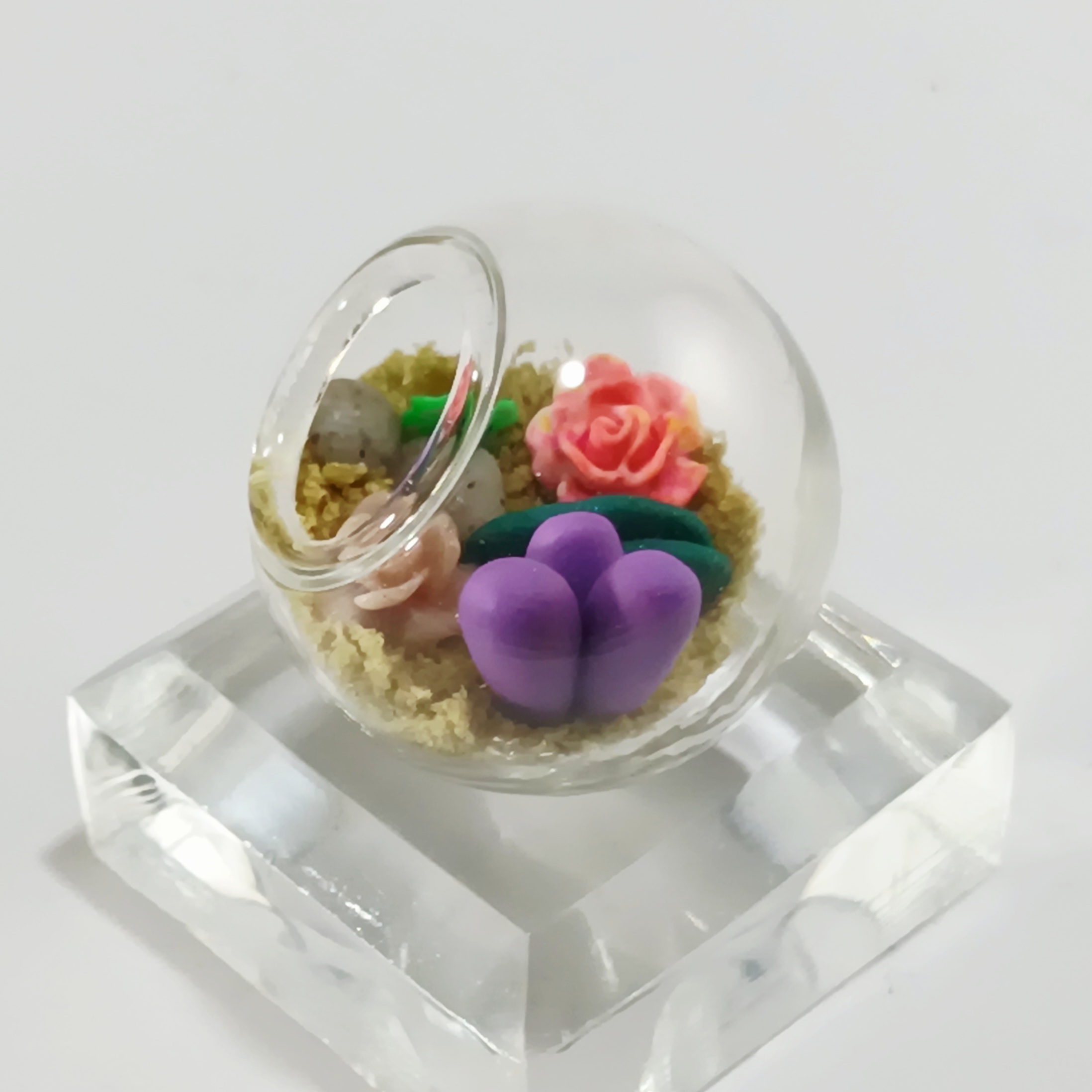 Micro Terrarium - Pink Rose - Image 2
