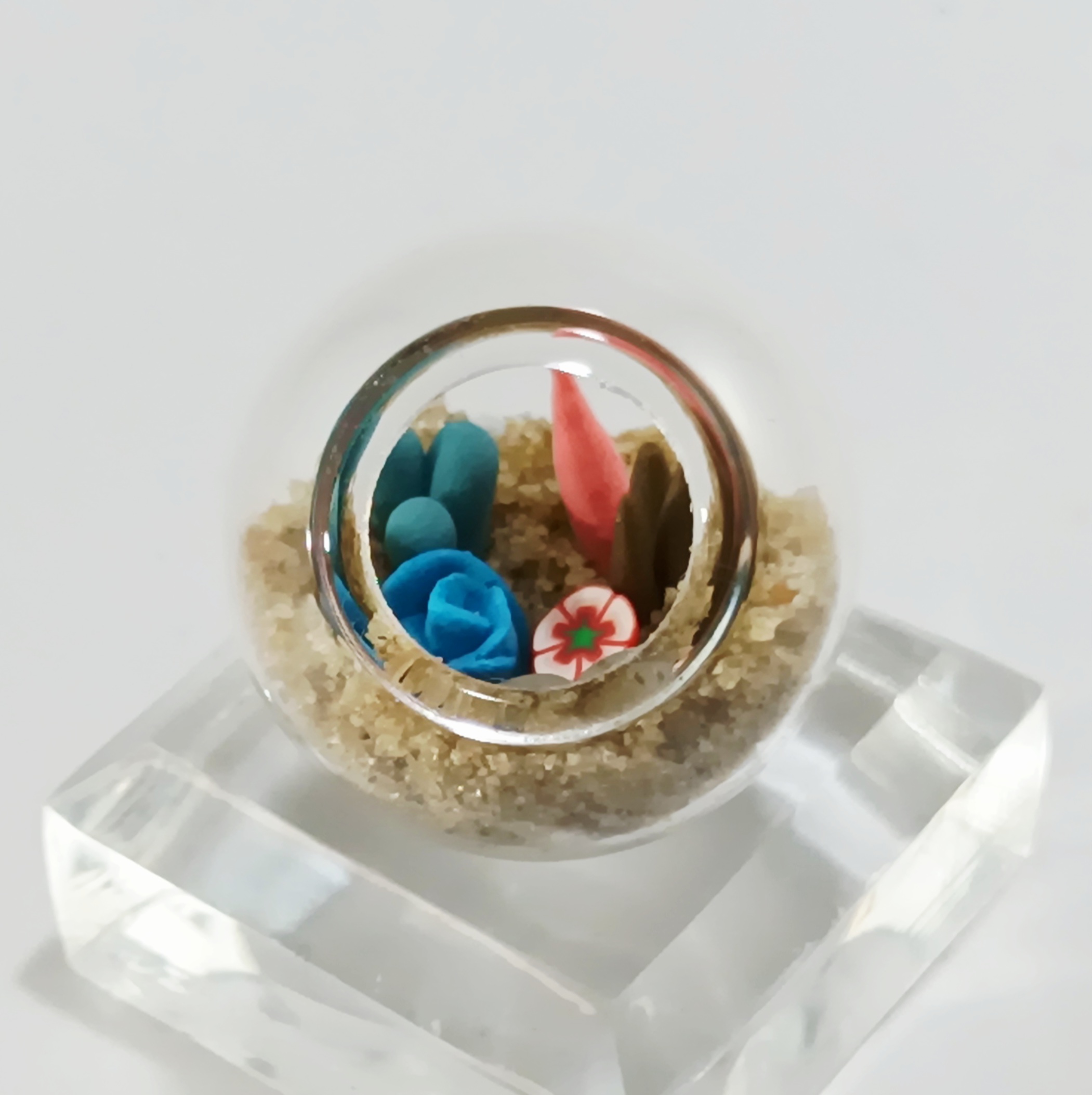 Micro Terrarium - Blue Rosette