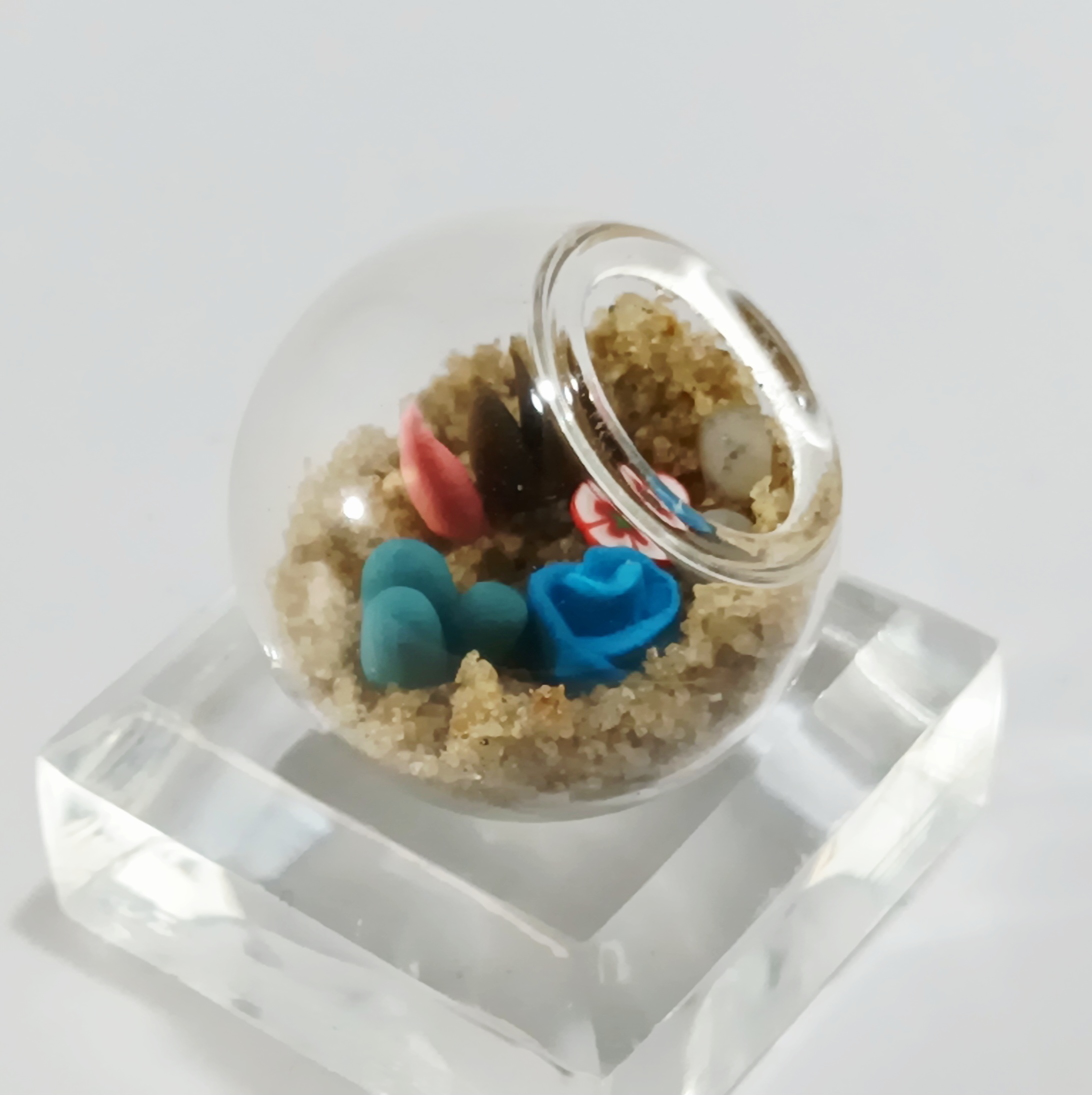 Micro Terrarium - Blue Rosette - Image 2
