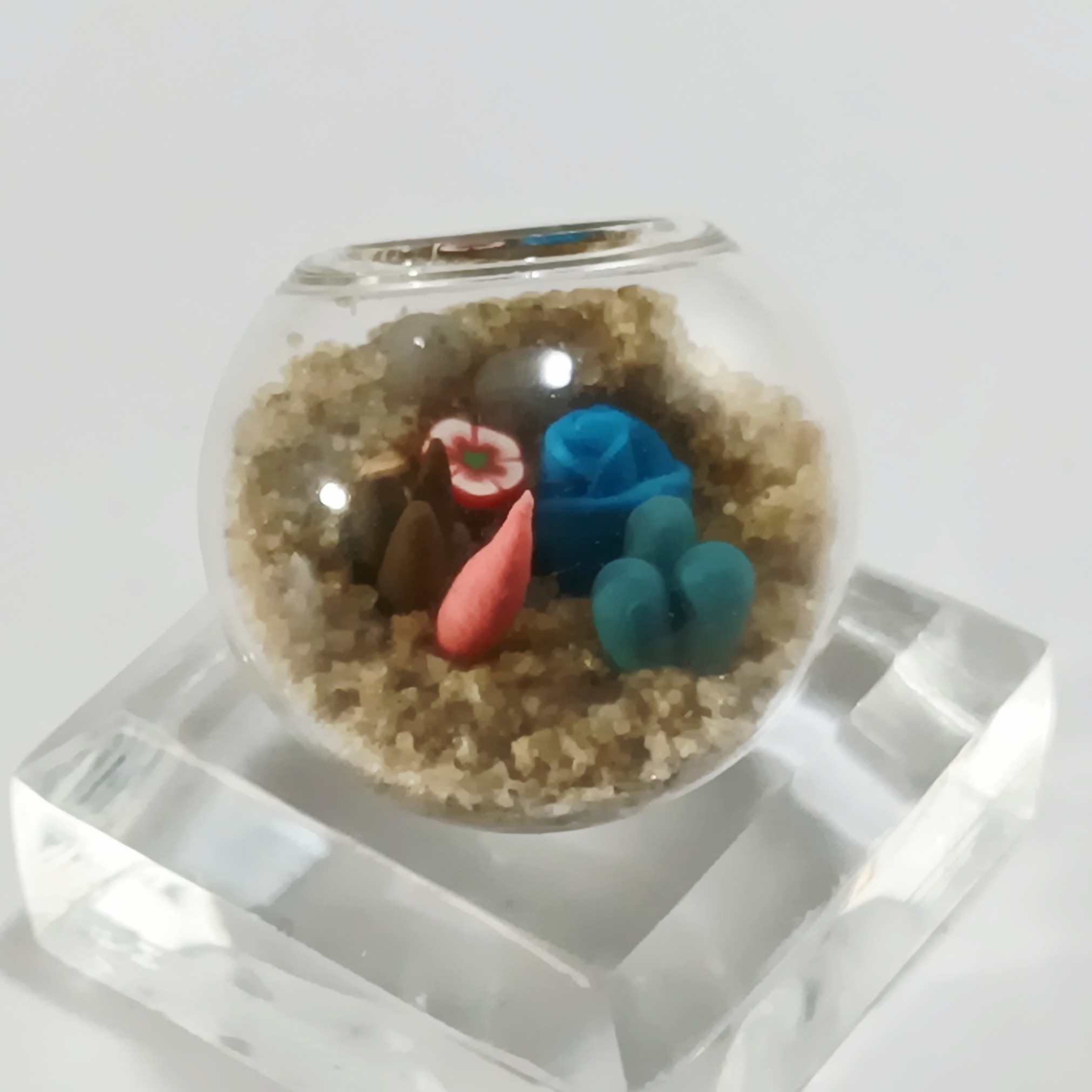 Micro Terrarium - Blue Rosette - Image 5