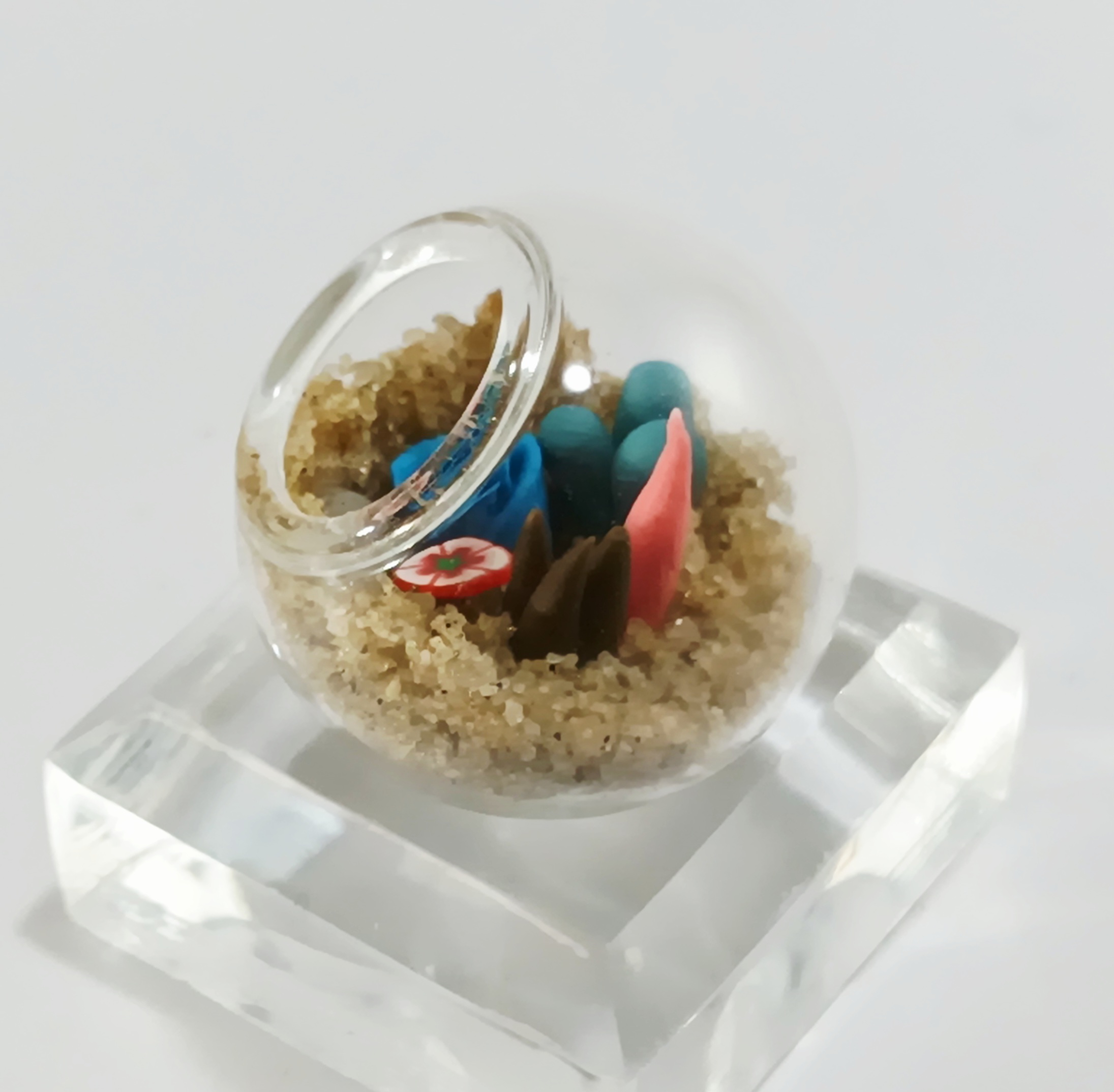 Micro Terrarium - Blue Rosette - Image 4