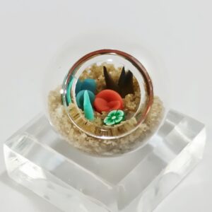 Micro Terrarium - Pond
