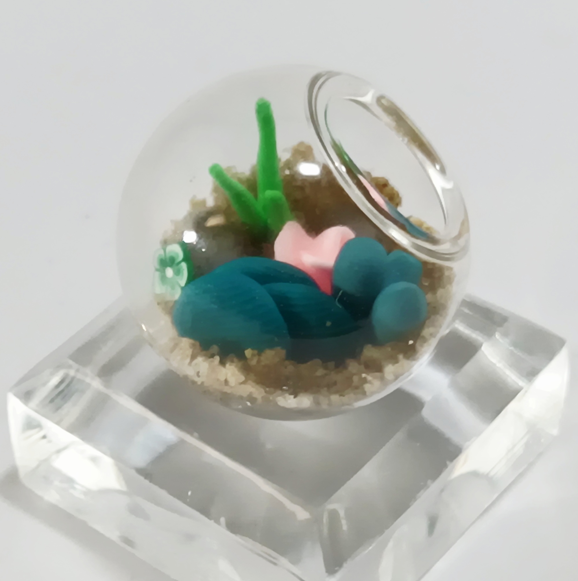 Micro Terrarium - Lake - Image 4