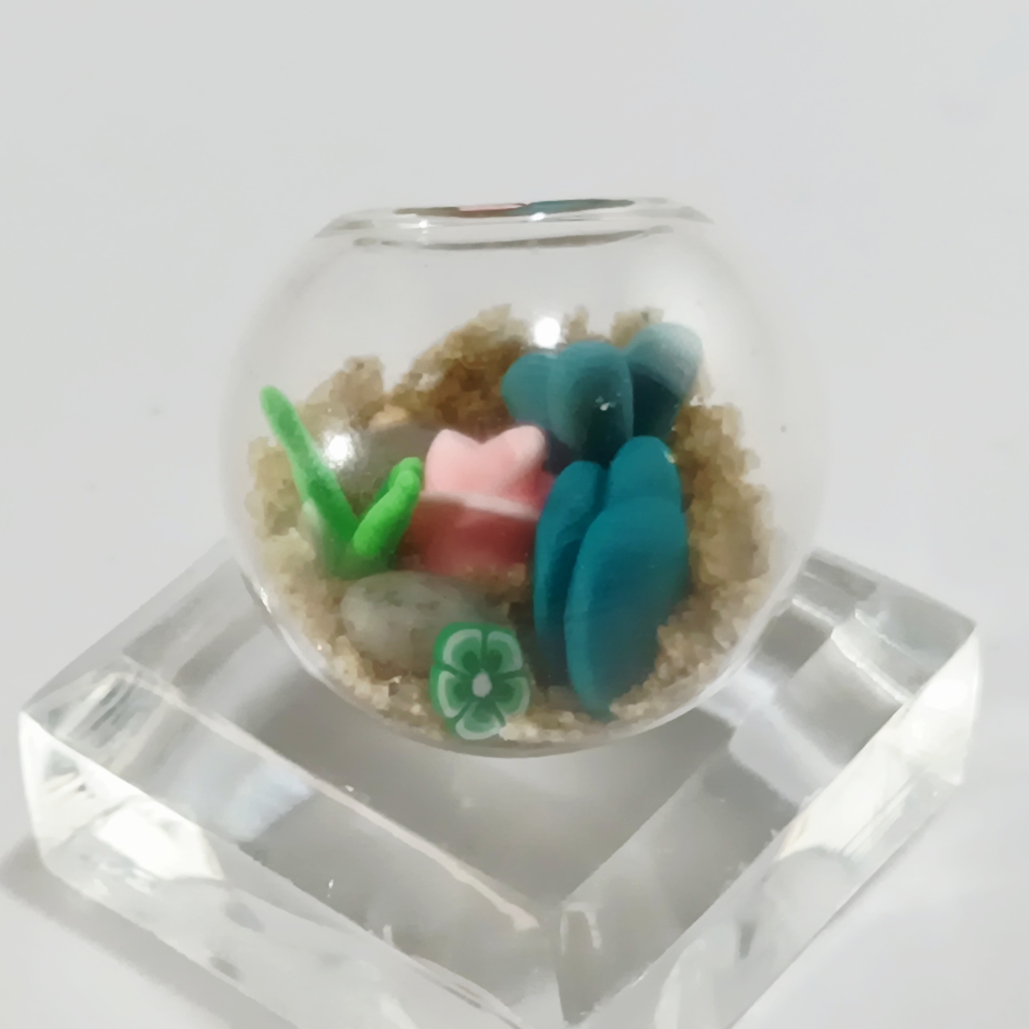 Micro Terrarium - Lake - Image 3