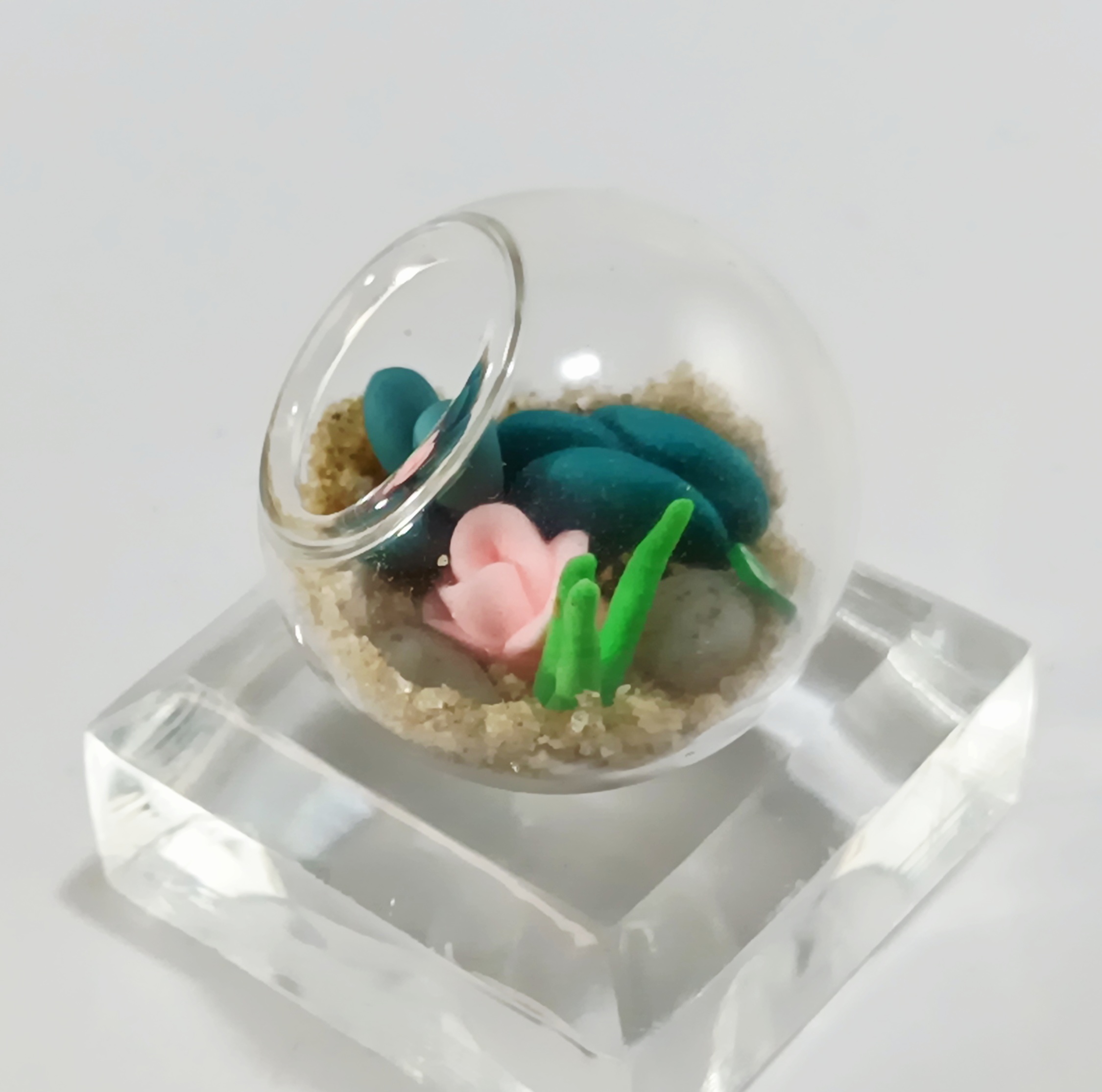 Micro Terrarium - Lake - Image 2