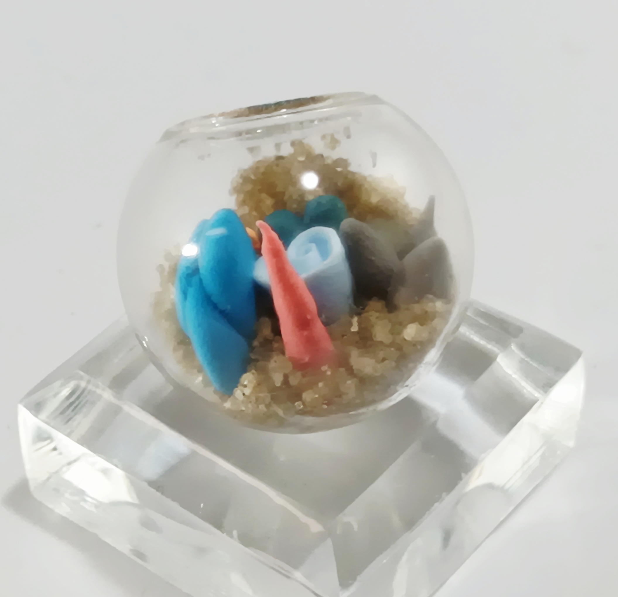 Micro Terrarium - River - Image 4