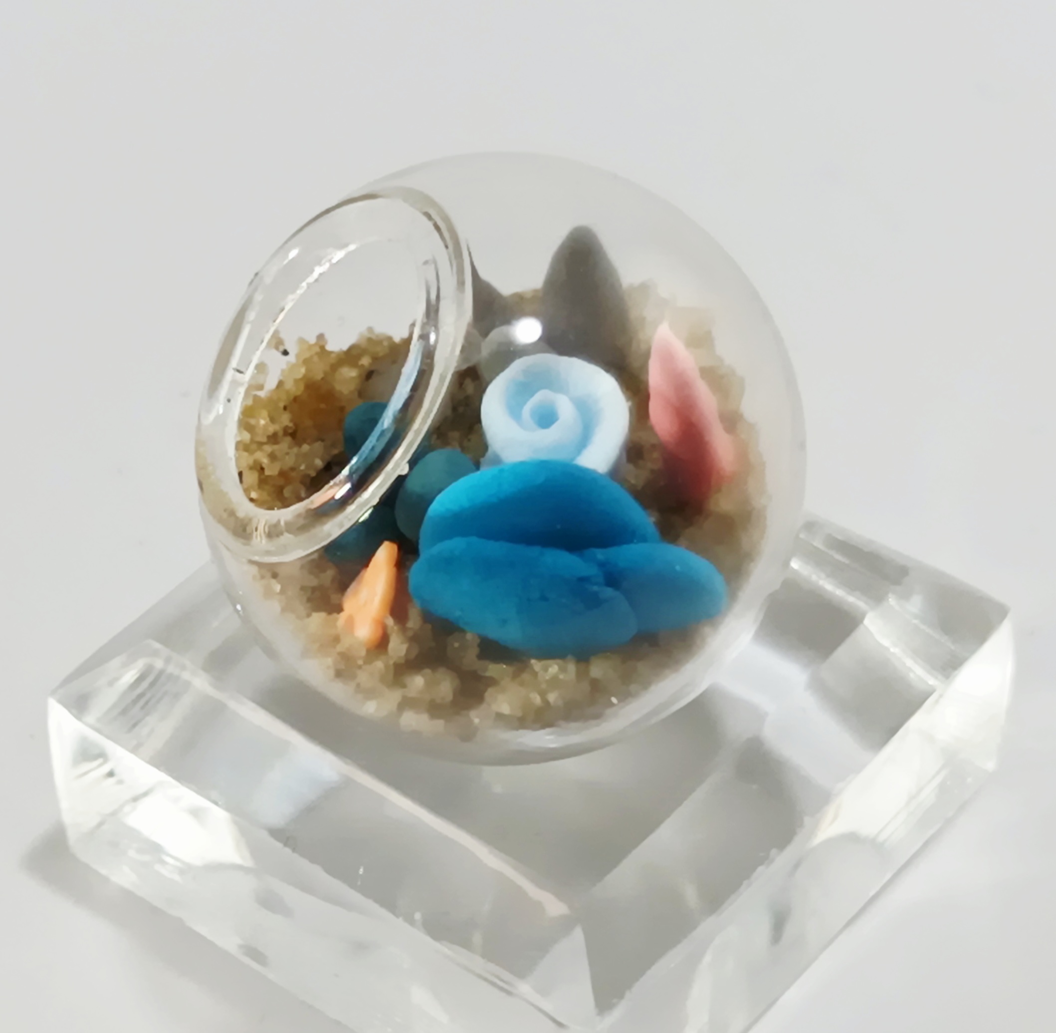 Micro Terrarium - River - Image 3