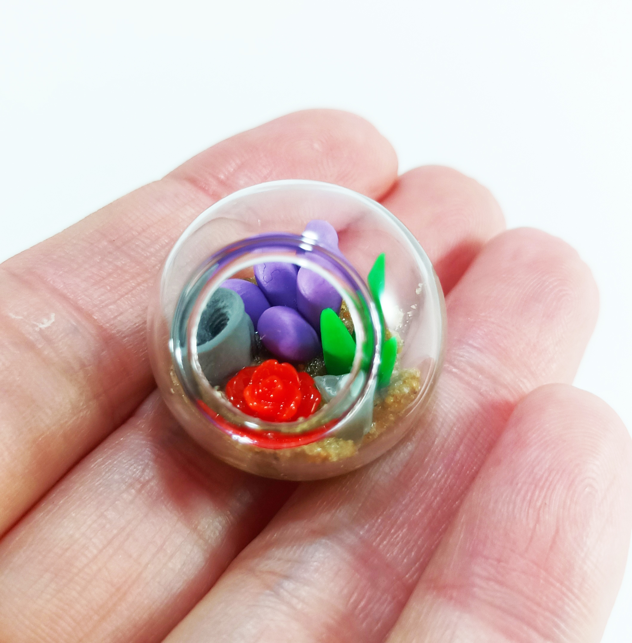 Micro Terrarium - Bold